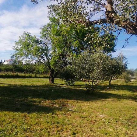 S&M Camping Sveti Filip i Jakov Ngoại thất bức ảnh