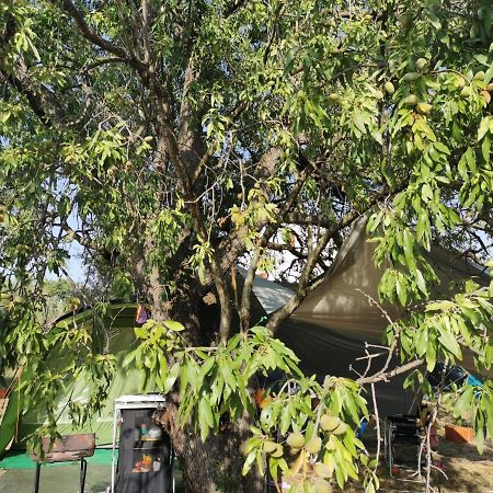 S&M Camping Sveti Filip i Jakov Ngoại thất bức ảnh