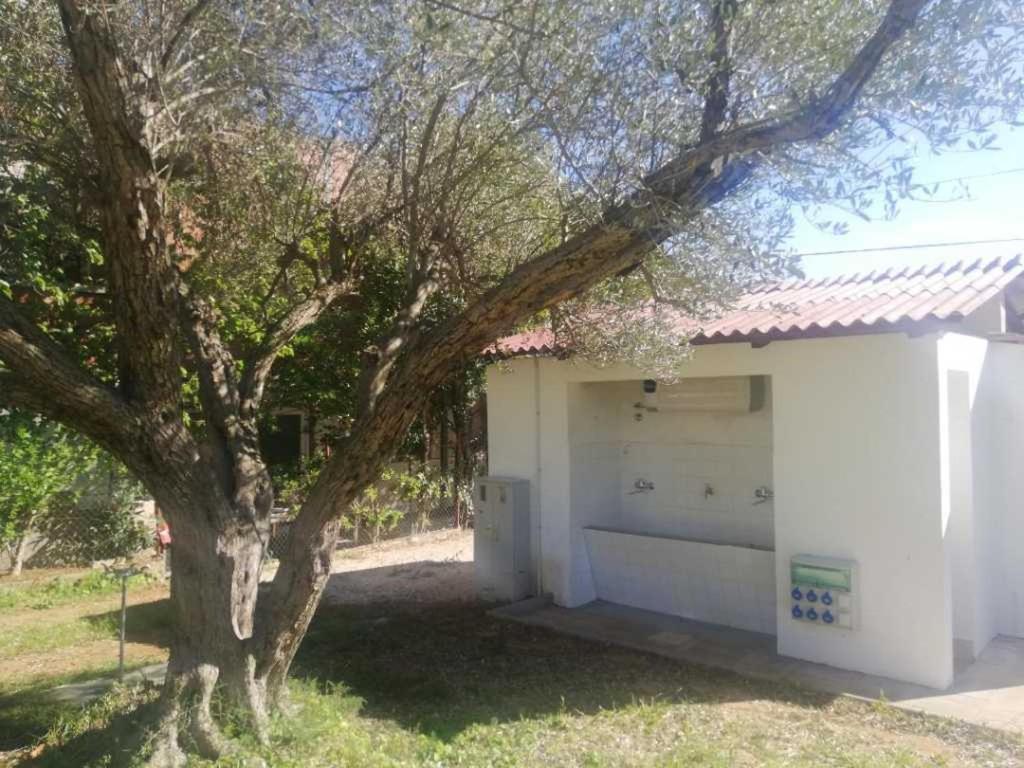 S&M Camping Sveti Filip i Jakov Ngoại thất bức ảnh