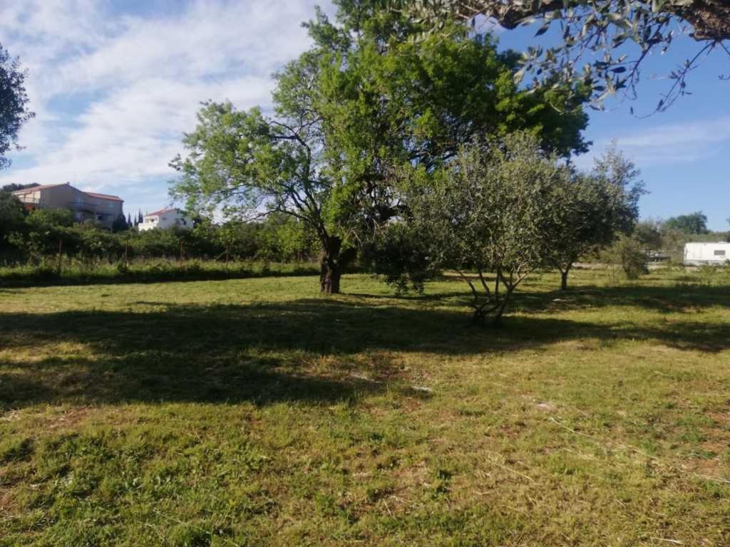 S&M Camping Sveti Filip i Jakov Ngoại thất bức ảnh