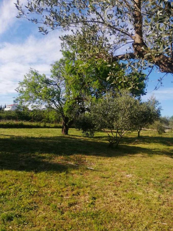 S&M Camping Sveti Filip i Jakov Ngoại thất bức ảnh