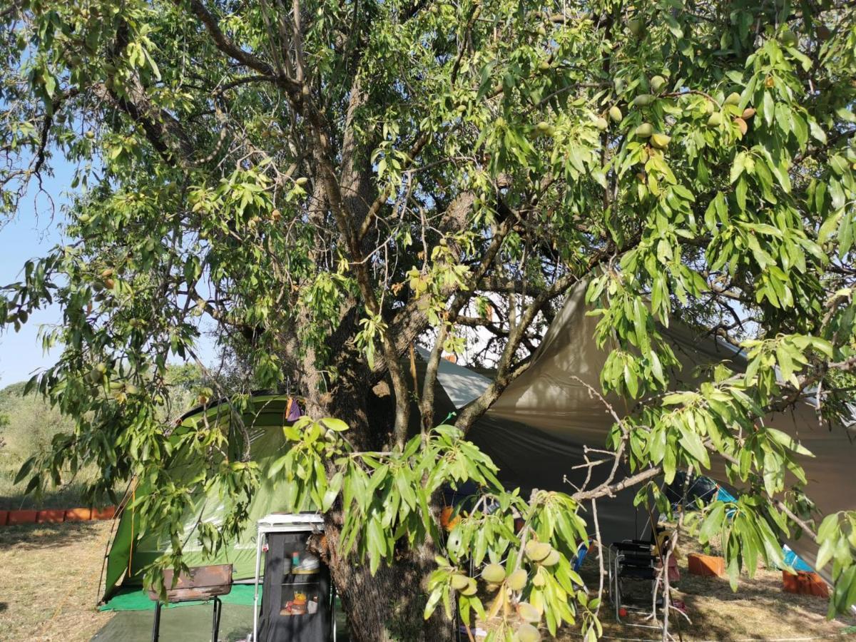 S&M Camping Sveti Filip i Jakov Ngoại thất bức ảnh
